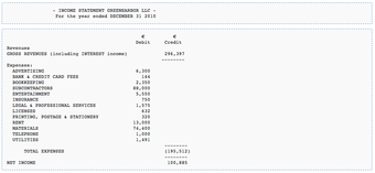 Example Income Statement