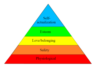 Maslow's Hierarchy Of Needs