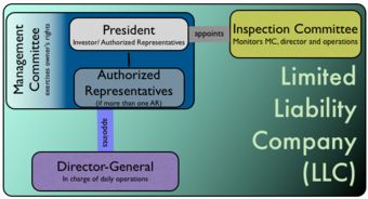 Limited Liability Company (LLC)