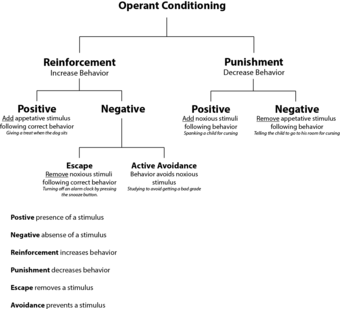 Operant Conditioning