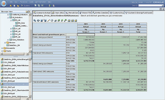 Information Presented in a Software Application