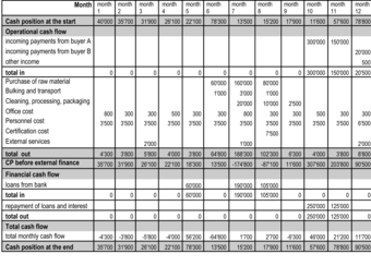 Simple Direct Cash Flow Statement