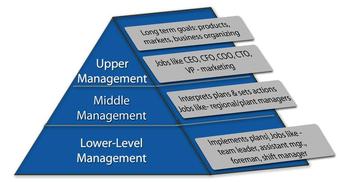 Management Levels