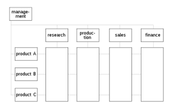 Matrix organizational chart