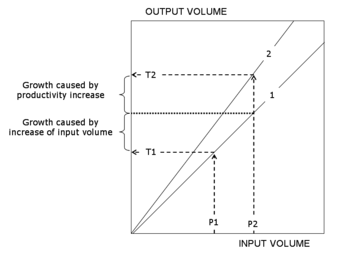 The Production Function