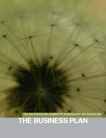 Business Plan