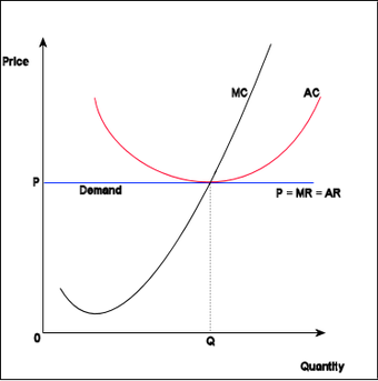 Perfect Competition Economics