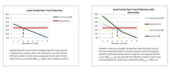 Effects of Externalities