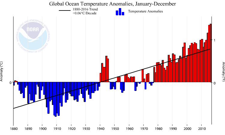 Averaged over the global ocean the year-to-year variations are still smaller (~0.5°C) than over land and the trend is also smaller (0.06°C/decade).