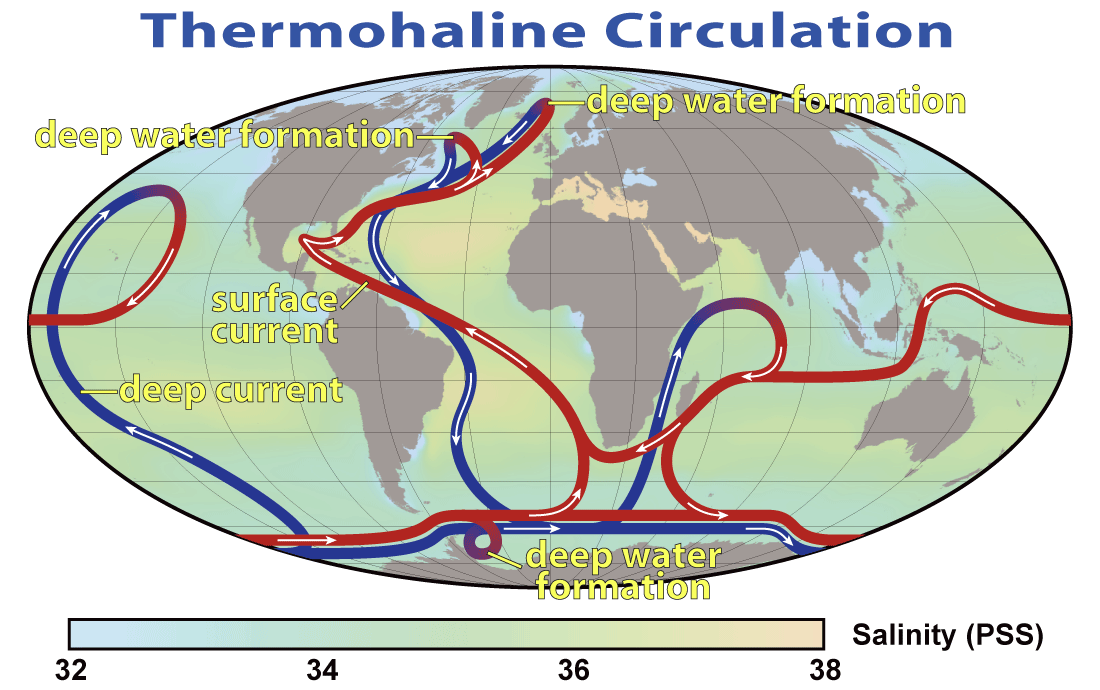 Cartoon of the Deep Ocean Circulation. Red and blue ribbons represent surface and deep currents, respectively. From wikipedia.org.