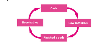 Cash cycle