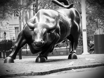 Wall Street bull