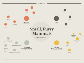 Small Furry Mammals