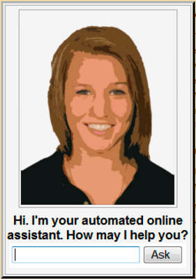 Automated online assistant