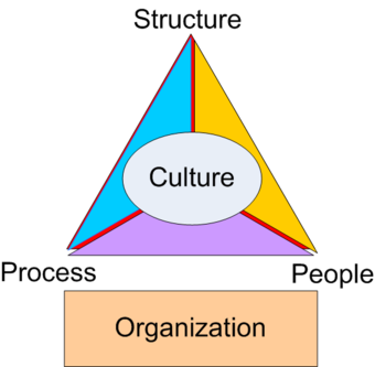 Organization triangle