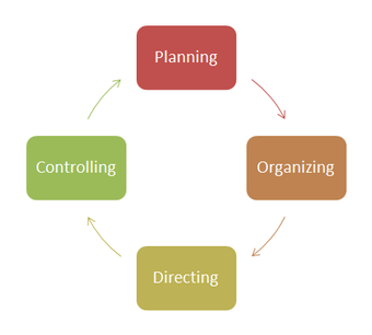 The management process