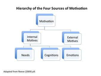 Internal and external motives