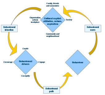 Cultural change in an organization