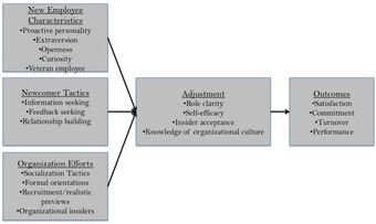 Organizational socialization model