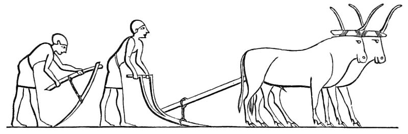 File:PSM V18 D467 Ancient egyptian hoe and plough.jpg