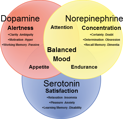 File:DopamineNorepinephrineSerotoninVennDiagram.png