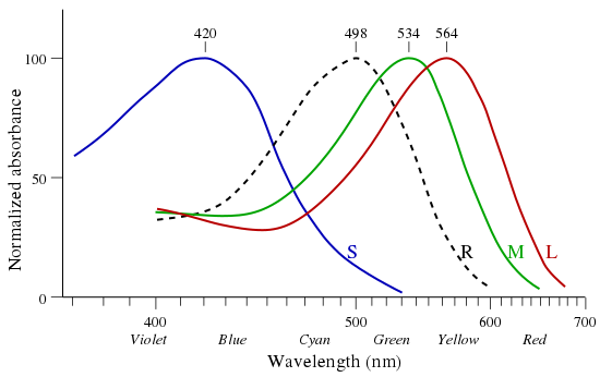 File:Cone-response-en.svg