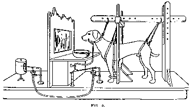 https://upload.wikimedia.org/wikipedia/commons/a/aa/Ivan_Pavlov_research_on_dog%27s_reflex_setup.jpg