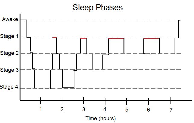 https://upload.wikimedia.org/wikipedia/commons/1/18/Simplified_Sleep_Phases.jpg