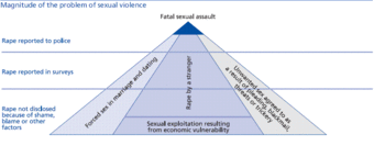 Sexual Violence Reporting