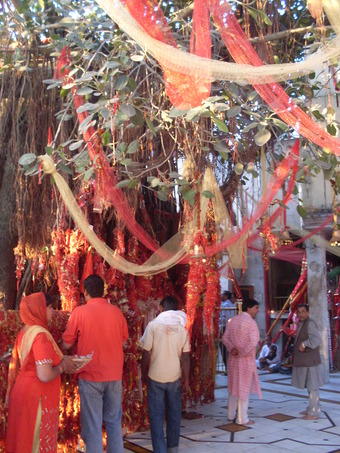 Devotees tie red crimson threads on making a wish fulfilled.