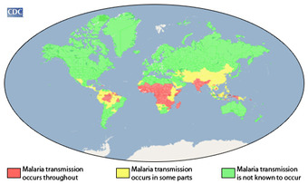 Concentrations of malaria transmission worldwide.