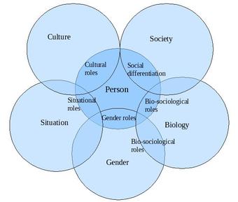 Social roles