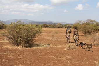 Modern-day Hunter/gatherer Societies