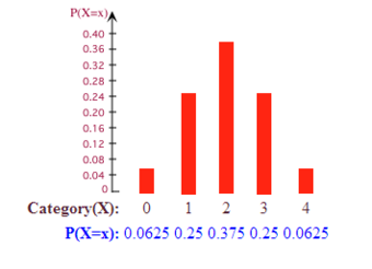 Probability Histogram