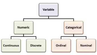 Types of Variables