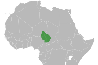 Bornu in the 18th century