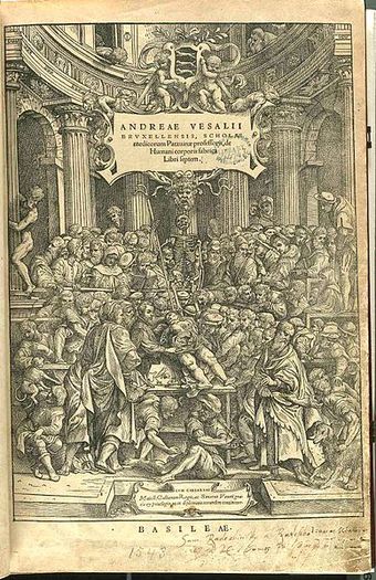 Andreas Vesalius,  De corporis humani fabrica libri septem,  illustration attributed to Jan van Calcar (circa 1499–1546/1550)  