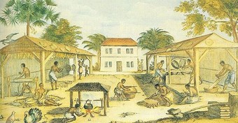  African slaves working in 17th-century Virginia (tobacco cultivation), by an unknown artist, 1670  