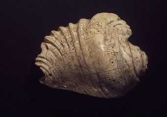 Incised Strombus-Shell Trumpet